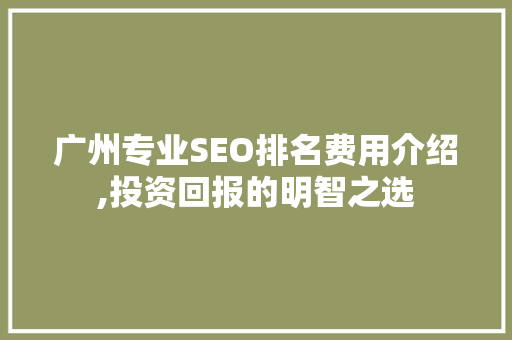 广州专业SEO排名费用介绍,投资回报的明智之选 SEO关键词