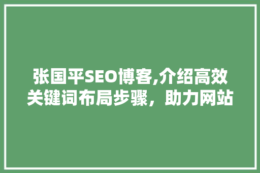 张国平SEO博客,介绍高效关键词布局步骤，助力网站优化 网站建设公司