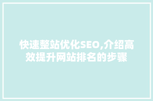 快速整站优化SEO,介绍高效提升网站排名的步骤 神马SEO