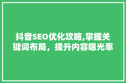 抖音SEO优化攻略,掌握关键词布局，提升内容曝光率 网站建设公司