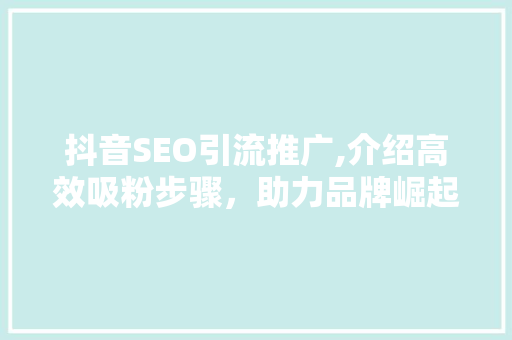抖音SEO引流推广,介绍高效吸粉步骤，助力品牌崛起！