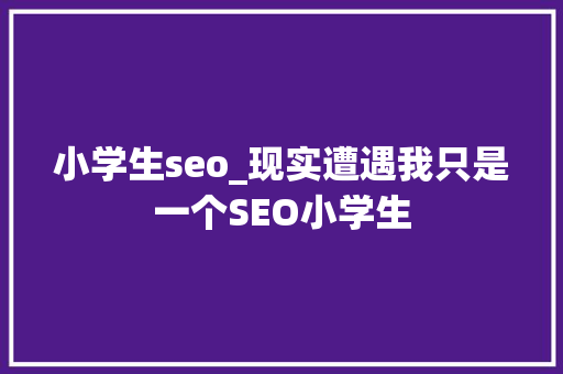小学生seo_现实遭遇我只是一个SEO小学生 小学生seo_现实遭遇我只是一个SEO小学生 网站建设公司