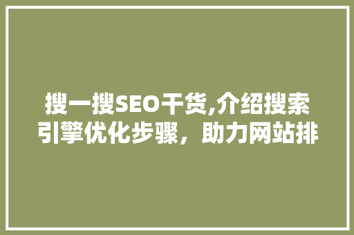 搜一搜SEO干货,介绍搜索引擎优化步骤，助力网站排名提升 搜狗SEO