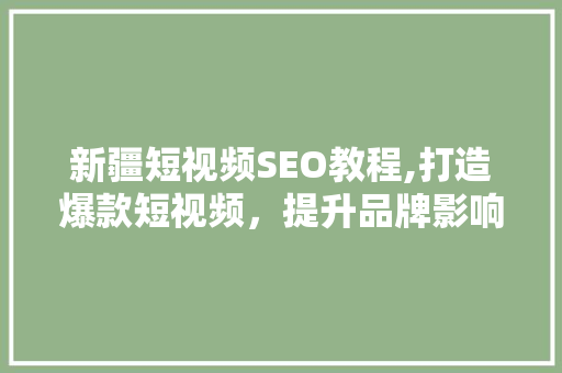 新疆短视频SEO教程,打造爆款短视频，提升品牌影响力 SEO关键词