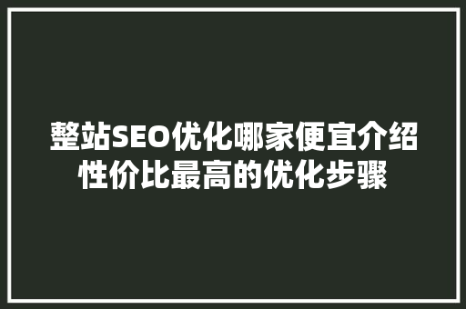 整站SEO优化哪家便宜介绍性价比最高的优化步骤 SEO关键词