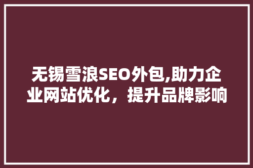 无锡雪浪SEO外包,助力企业网站优化，提升品牌影响力 百度SEO