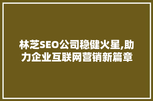 林芝SEO公司稳健火星,助力企业互联网营销新篇章 搜狗SEO