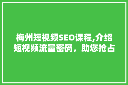 梅州短视频SEO课程,介绍短视频流量密码，助您抢占市场先机