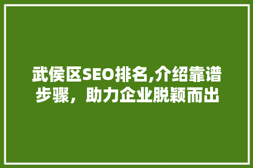 武侯区SEO排名,介绍靠谱步骤，助力企业脱颖而出 神马SEO