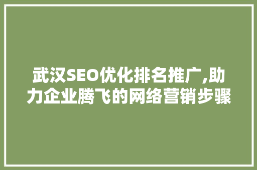 武汉SEO优化排名推广,助力企业腾飞的网络营销步骤