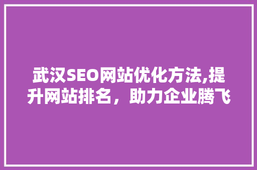 武汉SEO网站优化方法,提升网站排名，助力企业腾飞 百度SEO