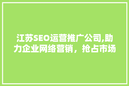 江苏SEO运营推广公司,助力企业网络营销，抢占市场先机 网站建设公司