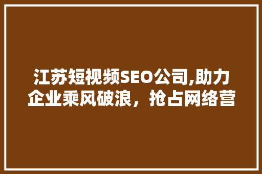 江苏短视频SEO公司,助力企业乘风破浪，抢占网络营销高地