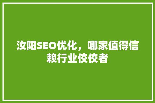 汝阳SEO优化，哪家值得信赖行业佼佼者 必应SEO