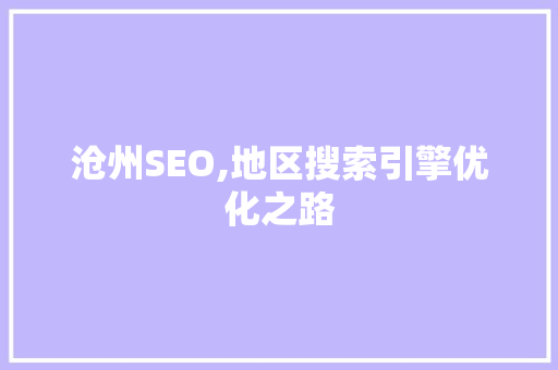 沧州SEO,地区搜索引擎优化之路
