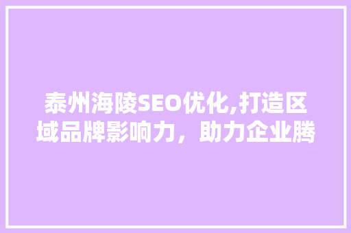 泰州海陵SEO优化,打造区域品牌影响力，助力企业腾飞 必应SEO