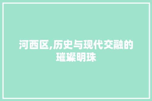 河西区,历史与现代交融的璀璨明珠