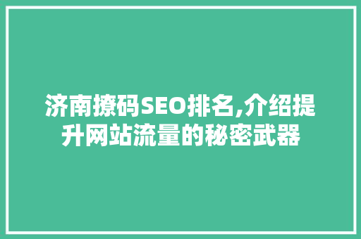 济南撩码SEO排名,介绍提升网站流量的秘密武器 必应SEO
