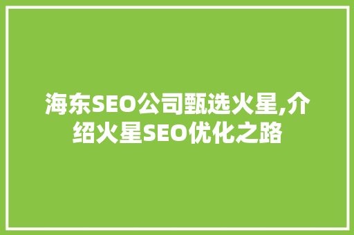 海东SEO公司甄选火星,介绍火星SEO优化之路 SEO关键词