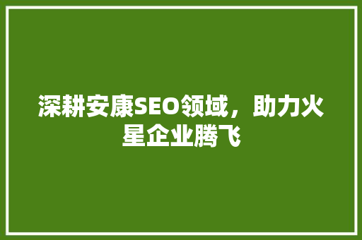 深耕安康SEO领域，助力火星企业腾飞 SEO关键词