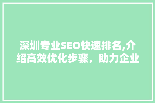 深圳专业SEO快速排名,介绍高效优化步骤，助力企业网络营销 SEO关键词
