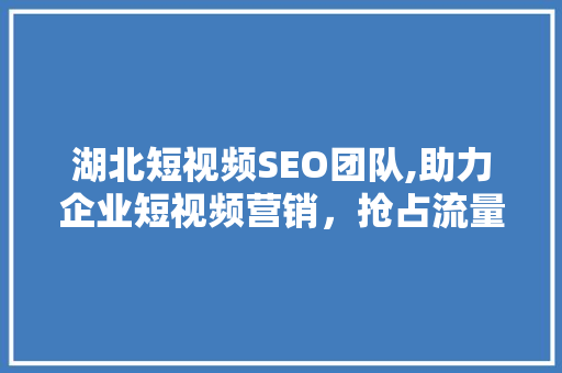 湖北短视频SEO团队,助力企业短视频营销，抢占流量高地 必应SEO