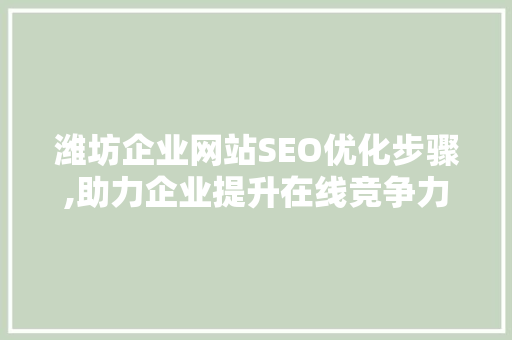 潍坊企业网站SEO优化步骤,助力企业提升在线竞争力 神马SEO