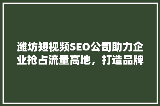 潍坊短视频SEO公司助力企业抢占流量高地，打造品牌新形象 百度SEO