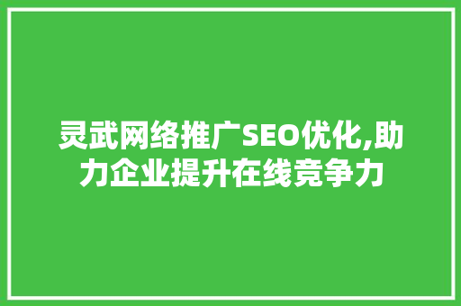 灵武网络推广SEO优化,助力企业提升在线竞争力 SEO关键词