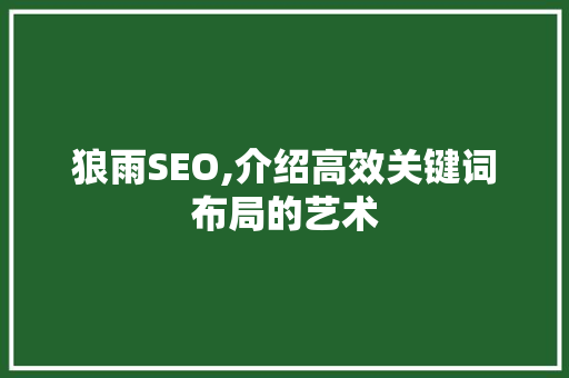 狼雨SEO,介绍高效关键词布局的艺术 必应SEO