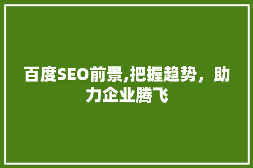 百度SEO前景,把握趋势，助力企业腾飞 网站建设公司