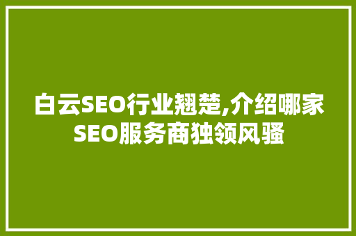 白云SEO行业翘楚,介绍哪家SEO服务商独领风骚 百度SEO