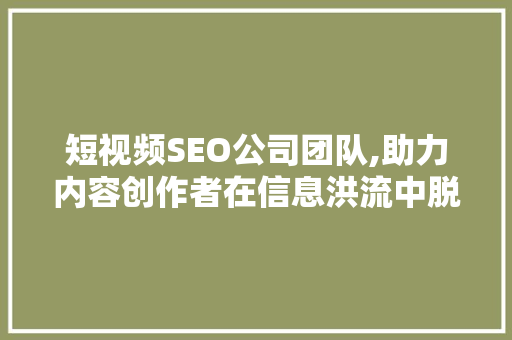 短视频SEO公司团队,助力内容创作者在信息洪流中脱颖而出 网站建设公司