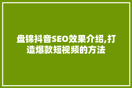 盘锦抖音SEO效果介绍,打造爆款短视频的方法 必应SEO