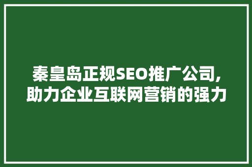 秦皇岛正规SEO推广公司,助力企业互联网营销的强力助手 必应SEO