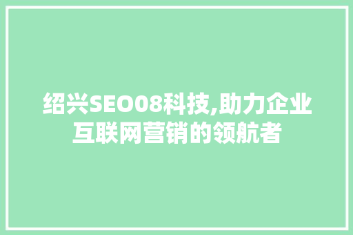 绍兴SEO08科技,助力企业互联网营销的领航者 百度SEO