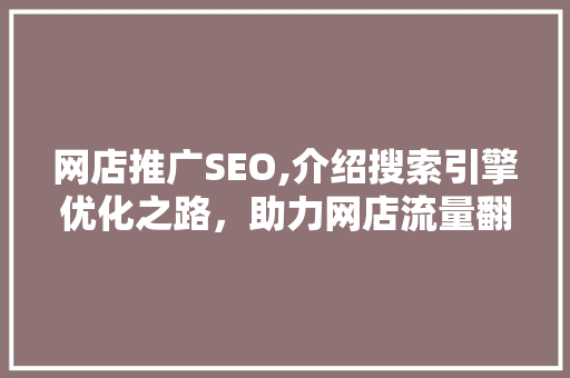 网店推广SEO,介绍搜索引擎优化之路，助力网店流量翻倍！ 网站建设公司