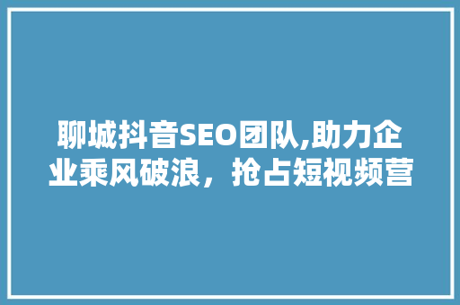 聊城抖音SEO团队,助力企业乘风破浪，抢占短视频营销制高点 SEO关键词