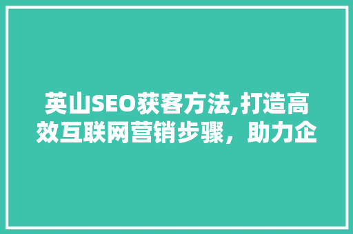 英山SEO获客方法,打造高效互联网营销步骤，助力企业腾飞 SEO关键词