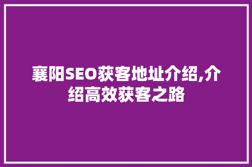 襄阳SEO获客地址介绍,介绍高效获客之路 神马SEO
