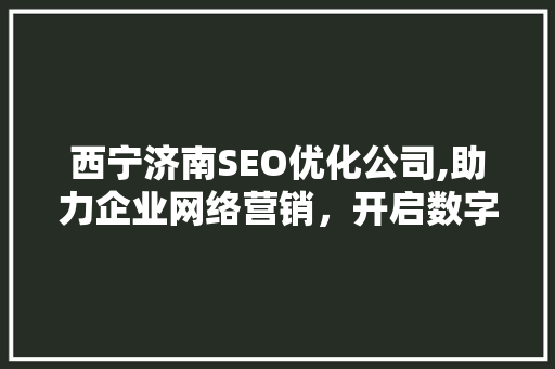 西宁济南SEO优化公司,助力企业网络营销，开启数字化时代新篇章 网站建设公司