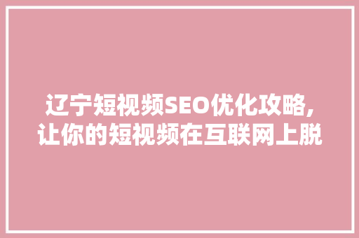 辽宁短视频SEO优化攻略,让你的短视频在互联网上脱颖而出