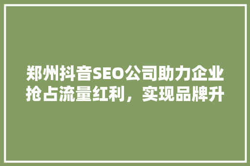 郑州抖音SEO公司助力企业抢占流量红利，实现品牌升级 网站建设公司