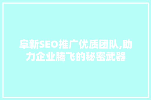 阜新SEO推广优质团队,助力企业腾飞的秘密武器 SEO关键词