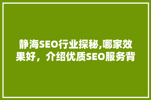 静海SEO行业探秘,哪家效果好，介绍优质SEO服务背后的秘密 网站建设公司
