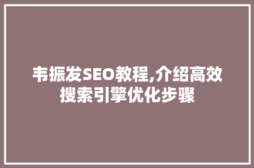韦振发SEO教程,介绍高效搜索引擎优化步骤 网站建设公司