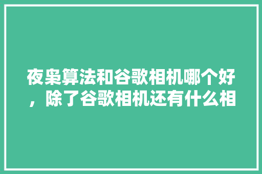 夜枭算法和谷歌相机哪个好，除了谷歌相机还有什么相机比较好 网站建设公司