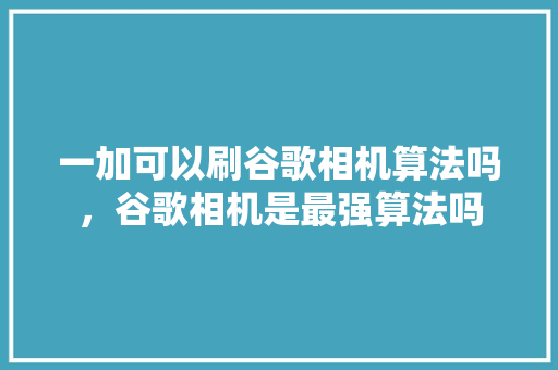 一加可以刷谷歌相机算法吗，谷歌相机是最强算法吗 网站建设公司