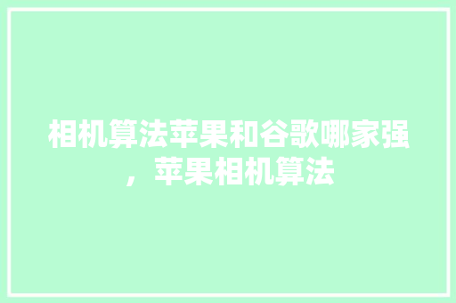 相机算法苹果和谷歌哪家强，苹果相机算法 必应SEO