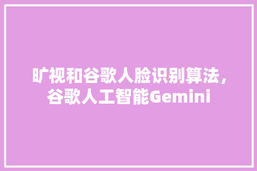旷视和谷歌人脸识别算法，谷歌人工智能Gemini SEO关键词